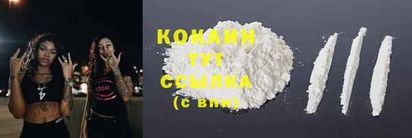 PSILOCYBIN Арсеньев