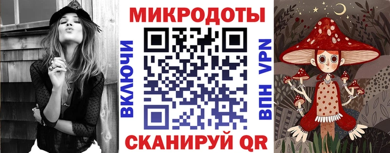 наркотики  Новоалтайск  Галлюциногенные грибы Psilocybe 